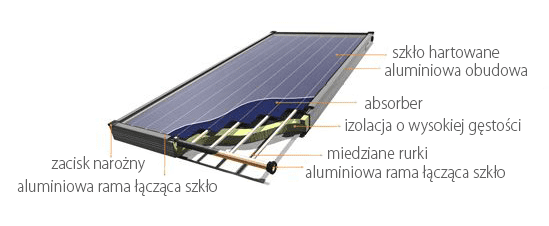 kolektor_pl